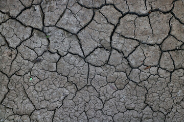 cracks on the ground desert texture background earth climate ecology