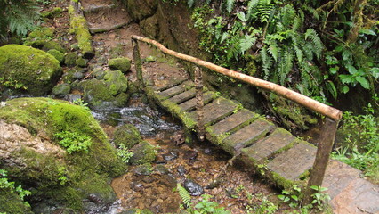 Small, wooden bridge over a stream near the high altitude Paraiso Quetzal Lodge outside of San Jose, Costa Rica