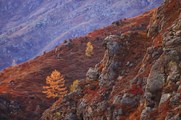 wallpaper autumn landscape mountain altai, freedom romantic trip