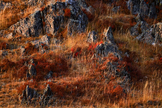 mountains background texture, hill natural landscape