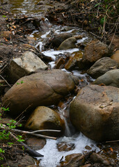 Flowing Stream in Rice Canyon, Santa Clarita Woodlands Park