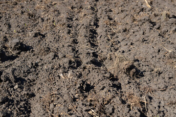 Soil texture background. Loamy soil, plowed agricultural field, arable land, dry land close-up