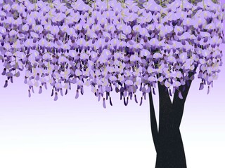 藤の花　立木