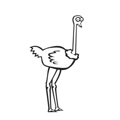 Vector illustration hand drawn cartoon of ostrich character isolated on white background.