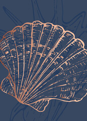 Set of Abstract Shells Hand Painted Illustrations for Wall Decoration, minimalist shell in sketch style. Postcard, Social Media Banner, Brochure Cover Design Background. Modern Abstract Painting.