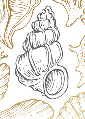 Set of Abstract Shells Hand Painted Illustrations for Wall Decoration, minimalist shell in sketch style. Postcard, Social Media Banner, Brochure Cover Design Background. Modern Abstract Painting.