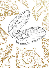 Set of Abstract Shells Hand Painted Illustrations for Wall Decoration, minimalist shell in sketch style. Postcard, Social Media Banner, Brochure Cover Design Background. Modern Abstract Painting.