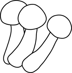 doodle freehand sketch drawing of beech mushroom vegetable.