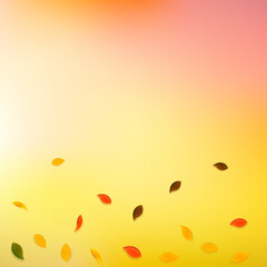 Falling autumn leaves. Red, yellow, green, brown r