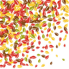 Falling autumn leaves. Red, yellow, green, brown c