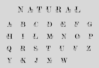Botanical alphabet, letters with stylized leaves. Nature style font