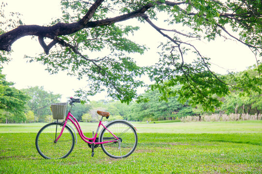 Vintage bicycle on grass. Image has shallow depth of field.