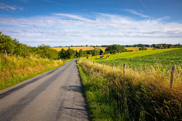 Fototapeta na wymiar Paysage de campagne et route au milieu des champs au printemps.
