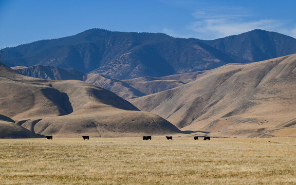 “San Emigdio Mountains” 이미지 – 찾아보기 52 스톡 사진, 벡터 및 비디오 | Adobe Stock