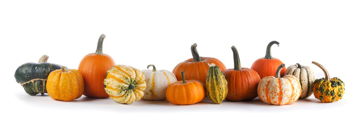 Many various pumpkins on white