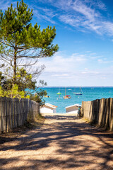 Paysage de bord de mer sur l'île de Noirmoutier en Vendée, France. - obrazy, fototapety, plakaty
