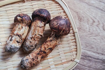 松茸で秋の味覚を楽しむ