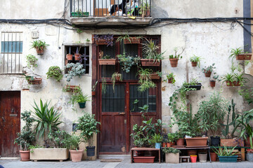 Fototapeta na wymiar Green plants on a facade