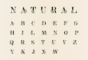 Botanical alphabet with illustrations of green leaves. Font, capital letters: floral style.