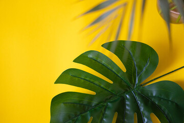 Fototapeta na wymiar Monstera leaf on the yellow background. Big banner. Place for text.