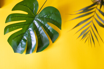 Fototapeta na wymiar Monstera leaf on the yellow background. Big banner. Place for text.
