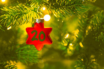 ein roter Stern mit einer Zahl (20) am Weihnachtsbaum, Weihnachtskalender
