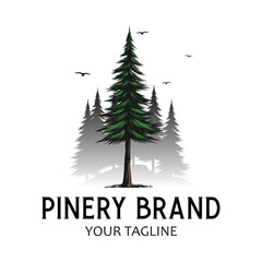 pine tree illustration vector image for logo 
