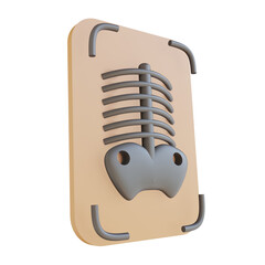 3D illustration x ray suitable for medical