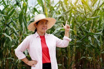 Asian woman gardener is at maize garden, wears hat, put hand on hip and point finger up. 
Concept: Agriculture occupation. Happy farmer.           