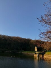 Obraz premium Etang et forêt de la Geneste