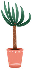Palm in a pot. Colorful doodle style on transparent background