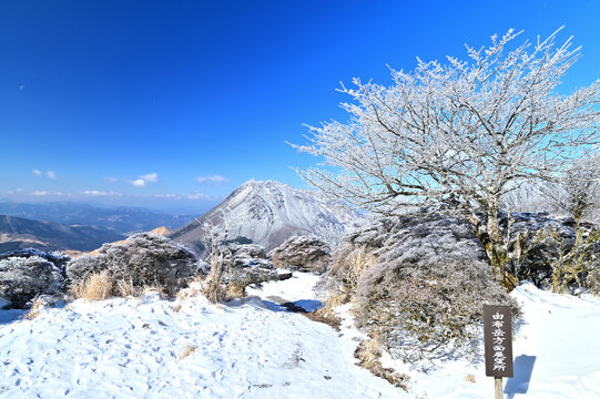 由布岳images Browse 2 000 Stock Photos Vectors And Video Adobe Stock