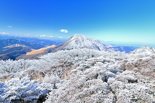 冬景色images Browse 44 579 Stock Photos Vectors And Video Adobe Stock