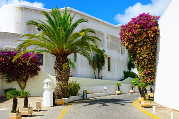Europe, Portugal, Algarve, Western Algarve, Lagos, old town, architecture and characteristic flora