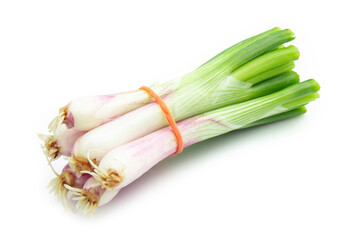 green onion isolated on white background