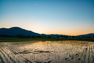 新潟の夕景