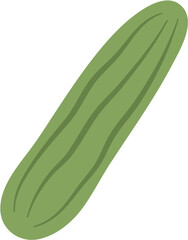 Flat Cucumber Illustration
