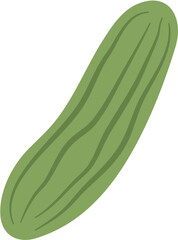 Flat Cucumber Illustration
