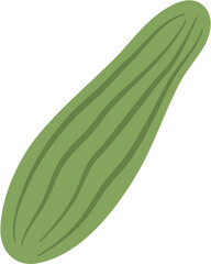 Flat Cucumber Illustration