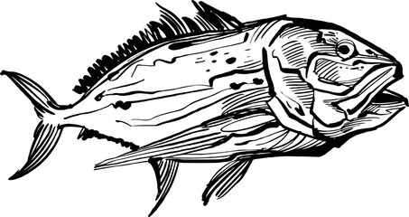 the vector illustration hand drawn Ocean fish