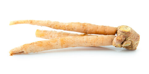 Kaempfer or krachar isolated on white background