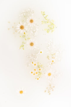 Watercolor Floral Background Of Floating Spring Flowers