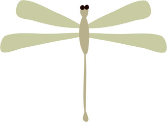 Dragonfly Bug Insect