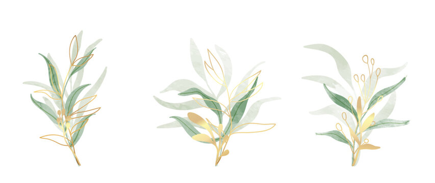 Set of watercolor botanical element vector. Luxury foliage collection of leaf branch, eucalyptus leaves, flowers, with gold line art. Elegant collection for wedding, invitation, decorative, card.