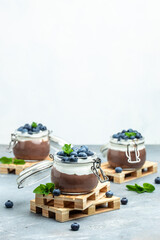 Parfait with blueberry, Delicious chocolate mousse or pudding with whipped cream. vertical image. top view. place for text