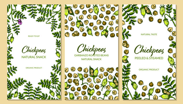 Set of colorful vertical chickpeas designs. Hand drawn illustration in colored sketch style. Botany template for packaging, banner, poster