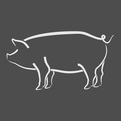 Pig sketch isolated on dark background. Vector illustration