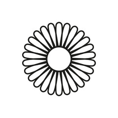 Daisy icon. Chamomile. Vector. Line style.
