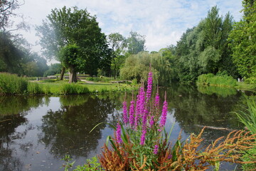 Fototapete bei efototapeten.de bestellen   