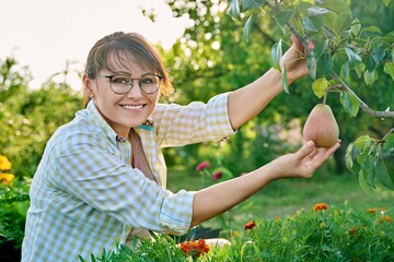 Portrait of smiling woman in fruit orchard, with ripe pears on tree